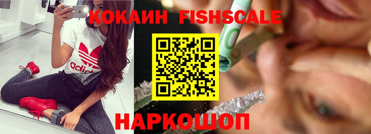 КОКАИН 98%  COCAIN FishScale  Елизово  Cocaine  Вход с VPN 