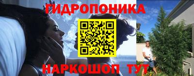 крисы Краснознаменск