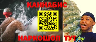 крисы Краснознаменск
