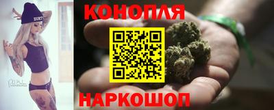 крисы Краснознаменск